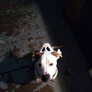 Meet your Posher, Jeanette